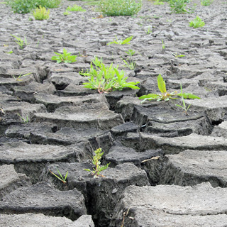 Oportunidades de negocio en la lucha contra el cambio climático