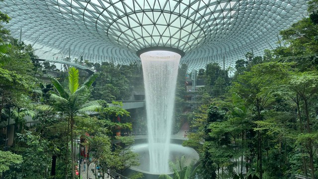 Comienza la inmersión en la biotecnología de Singapur